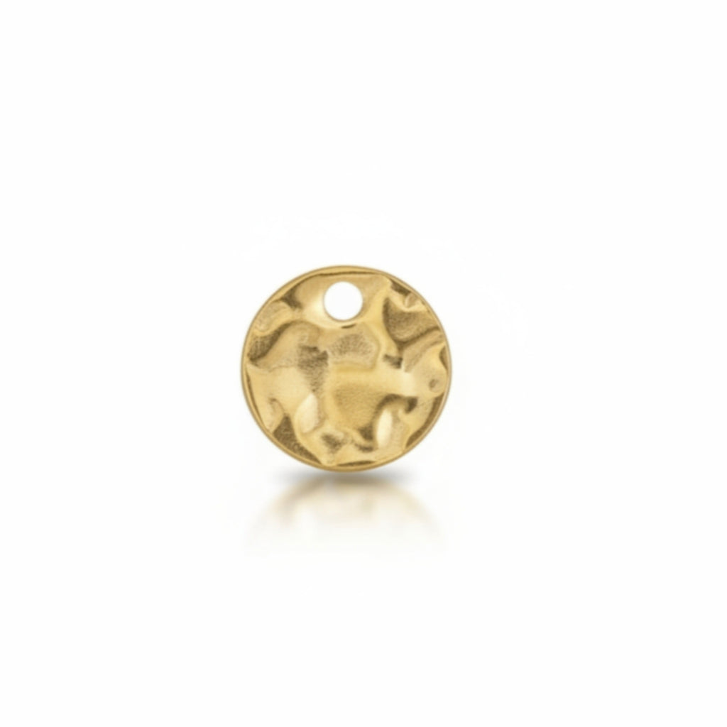Moon disk charm